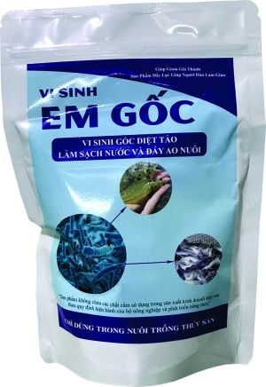 VI SINH EM GỐC